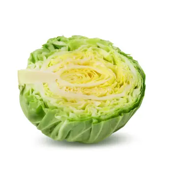 cabbage (25)-9444953-36661.webp